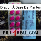 Dragon À Base De Plantes 35